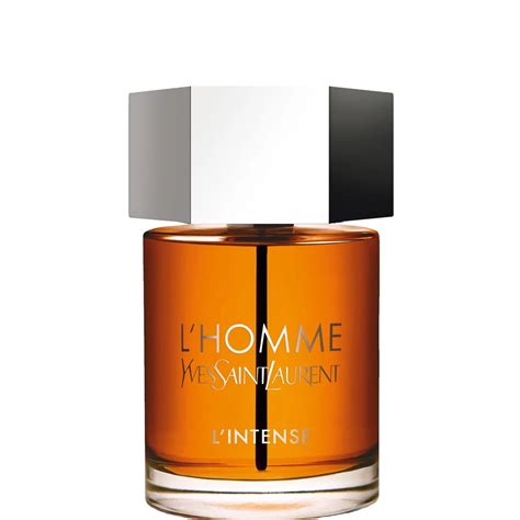 ysl l'homme summer or winter|yves saint laurent l'homme perfume.